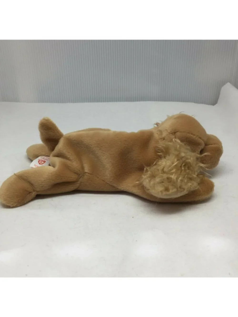 Ty Beanie Baby Spunky Dog Cocker Spaniel Plush Stuffed Animal  W Tag Jan 14 1997